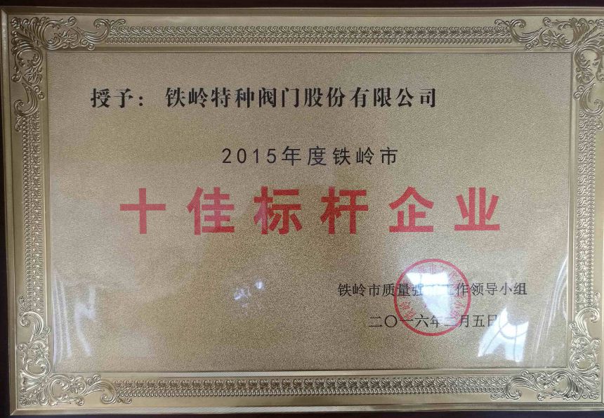 2016十佳標(biāo)桿企業(yè).jpg